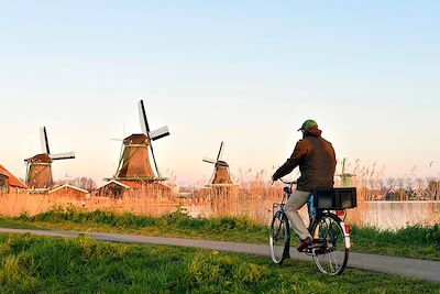 voyage Les Pays-Bas 100% local